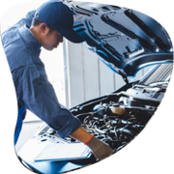 BAC PRO - Maintenance des véhicules : Option : véhicules légers