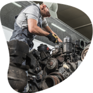 CAP Maintenance des véhicules Options : véhicules de transport routier                                                                                   