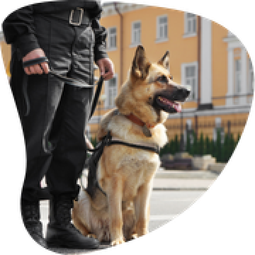 TFP Agent de sécurité cynophile